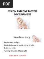 Vision and Fine Motor Development