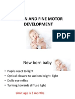 Vision and Fine Motor Development