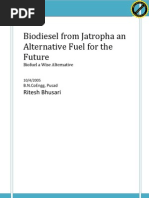 Download Biodiesel From Jatropha an Alternative Fuel for the Future by Ritesh  SN11879027 doc pdf