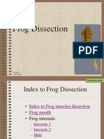 Frog dissecting