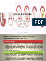 Asma Bronkial