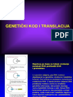 Genetika - Translacija