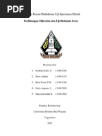 Download Laporan Uji Spesimen Klinik-Feses by Hutri_csw SN118913268 doc pdf