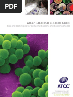 Download ATCC Bacterial Culture Guide by Pramoth Narashimman SN118917227 doc pdf