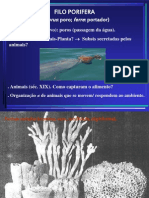 Zoologia 1 Porifera A