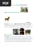 Download Top 10 Smartest Dog in the World by Lovie1314 SN11892757 doc pdf