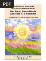 Ser Puro, Consciência Absoluta e o Samadhi