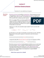 Restriction Endonucleases