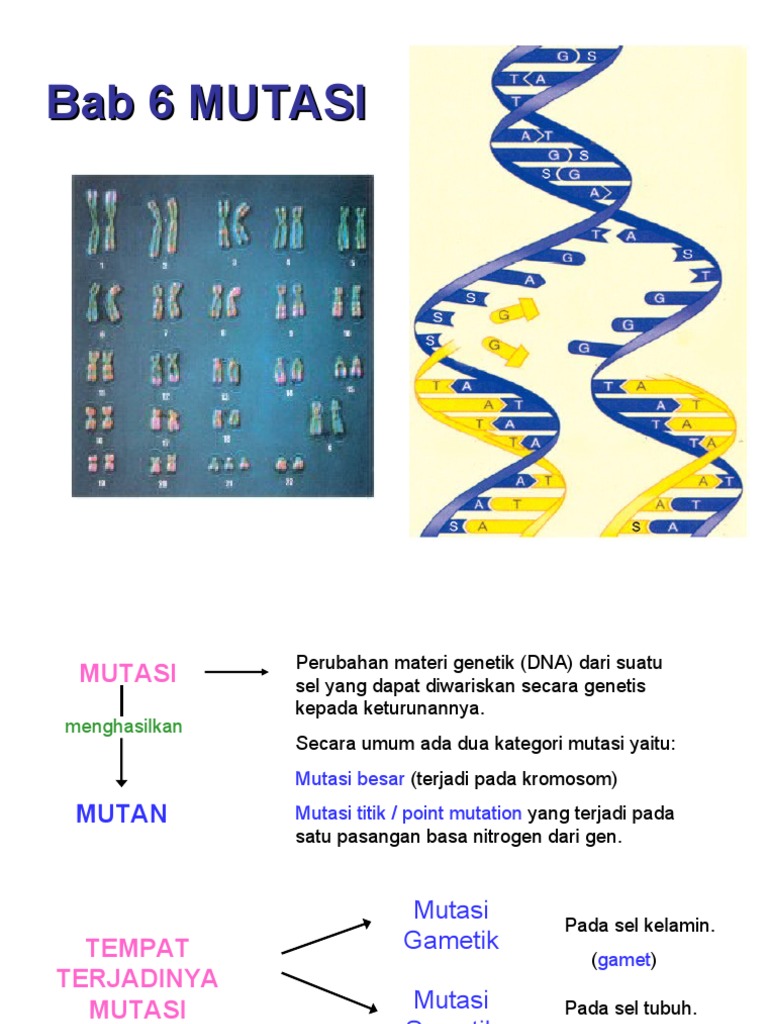 Jenis dan Pengaruh Mutasi Genetik | PDF
