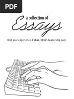 Download generic essay  by Matt McClenahan SN119042805 doc pdf