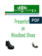 13142607-Woodland