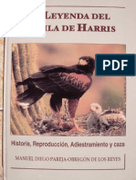 Cetreria - La Leyenda Del Aguila de Harris