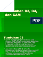 Tumbuhan C3 C4 Dan CAM