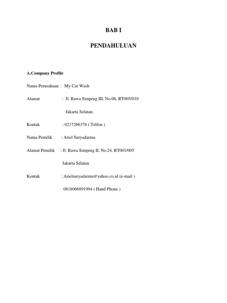 Contoh Marketing plan cucian mobil
