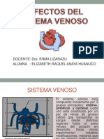 Defectos Del Sistema Venoso