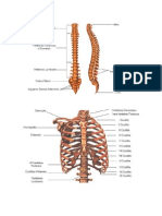 Imágenes cuerpo