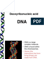 DNA Structure and Function in 40 Characters