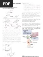 Download Fungsi Garam Empedu pada Pencernaan dan Penyerapan Lemak by Eri Widianto SN119158325 doc pdf