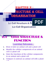 2.1 Cell Structure & Function 2.2 Cell Organisation
