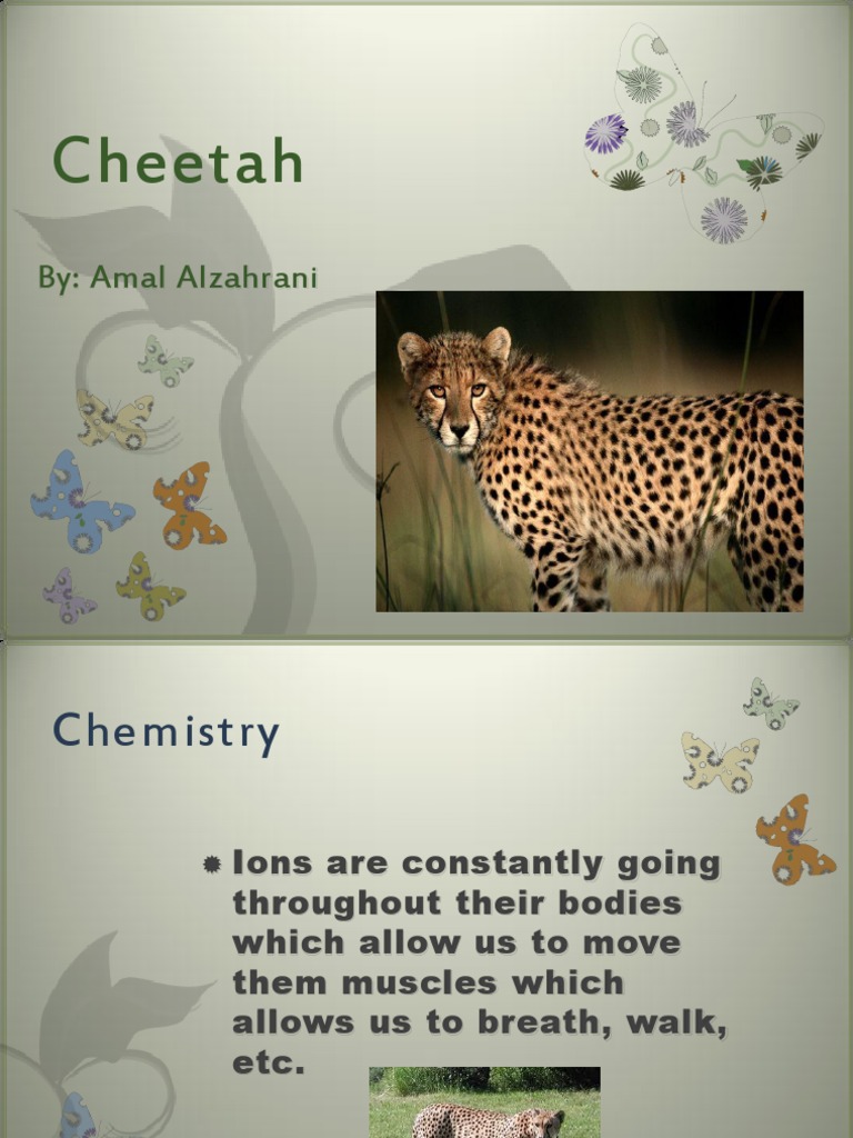 Cheetah Chemistry & Biology | PDF | Organic Compounds | Respiratory System