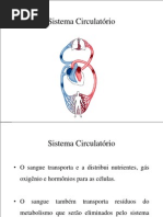 Sistema Cardiovascular