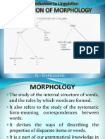 Morphology