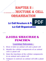 Bio f4 c2 Cells