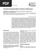 melanin synthesis