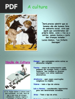 Tema 1 Psicologia B - Cultura