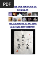 13361511 Os Doze Sais Teciduais de Schussler Aplicados a Terapia Tradicional Chinesa