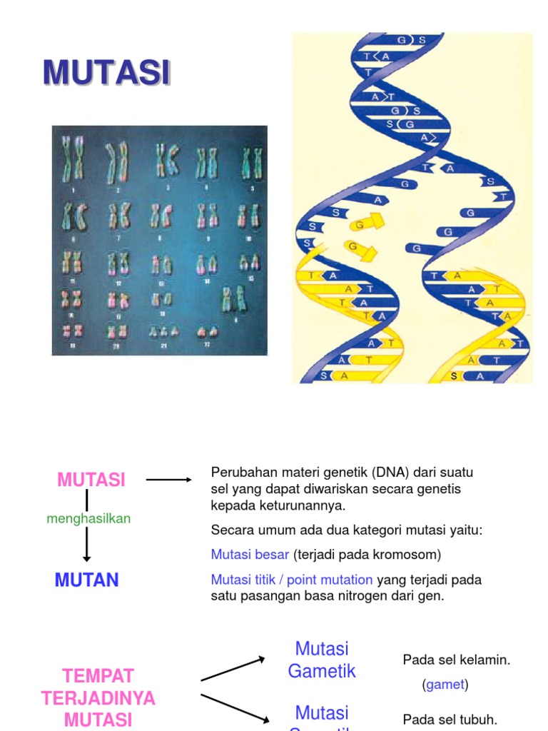 MUTASI | PDF