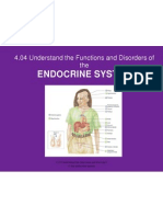 4 04 understand the functions and disorders of the endocrine system
