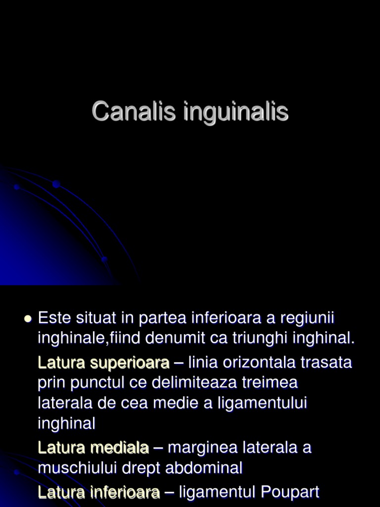 Canal Inghinal | PDF