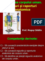 Filehost - Planuri Si Raporturi Anatomice (Prezentare Catalin)