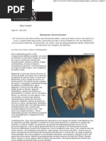 Campos Silenciosos - Scientific American Brasil