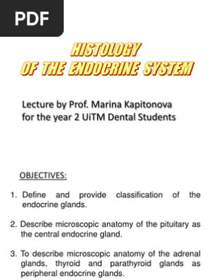 Histology Of Endocrine Systemmk Pdf Thyroid Endocrine System