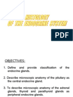 Histology of Endocrine SystemMK