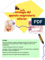 Histologia Del Aparato Respiratorioinf