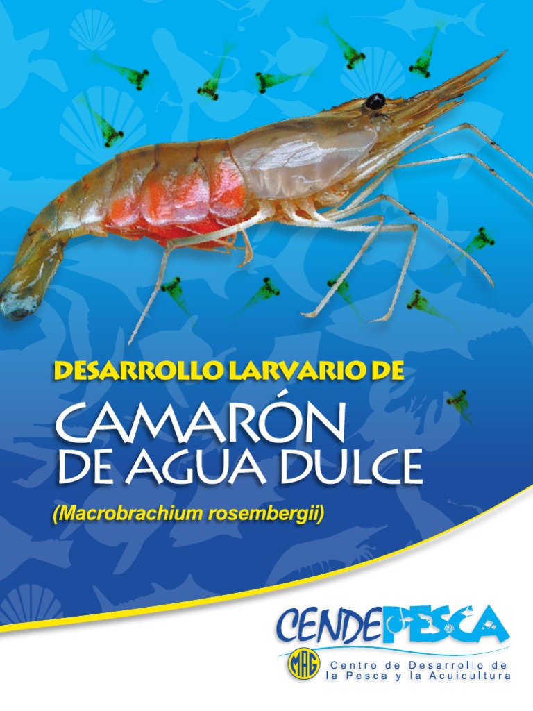 Manual Camaron de Agua Dulce PDF Agua Alimentos