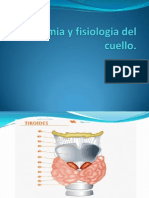 Anatomia y Fisiologia Del Cuello