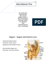 Ppt Pattoklin Teori Baruu