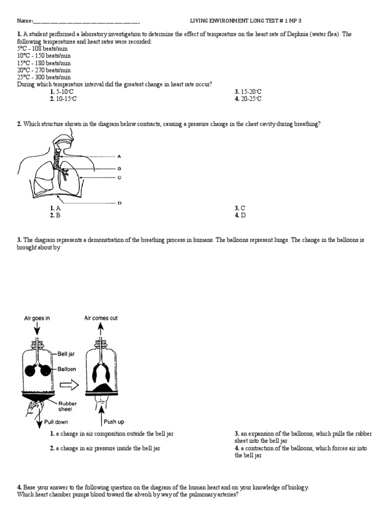 Living Environment Regents Practice Test | PDF | Lung | Digestion