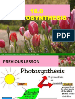 Photosynthesis Hour 2