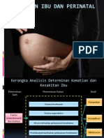 Kematian Ibu Dan Perinatal