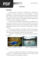 Projet Pedalinho2010 Rm2