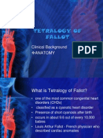 Tetralogy of Fallot: Clinical Background Anatomy