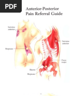 Download Trigger Point Colour Maps by Daan van der Meulen SN119621133 doc pdf
