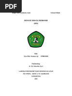 Download DSS by nidakecil SN119634587 doc pdf