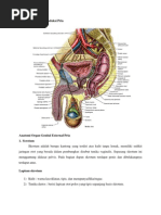 Download Anatomi Organ Reproduksi Pria dan nutrisi untuk kesuburan by Fadilla Safira SN119635576 doc pdf