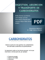 digestion de carbohidratos